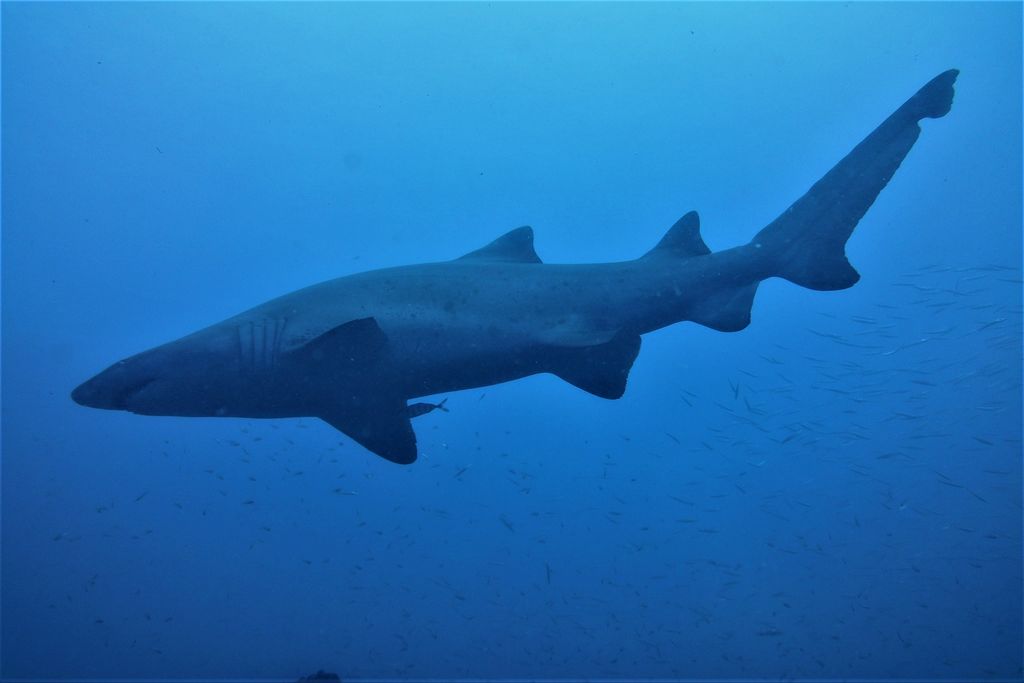 2383529b-79e8-4d53-bb9f-982d7e1456b0