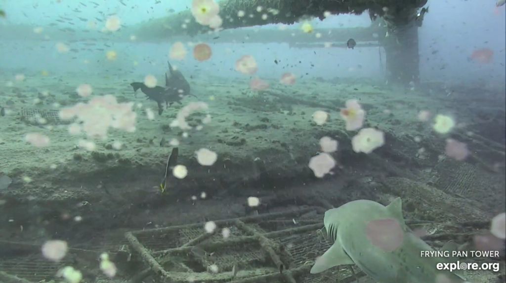 d28f4e45-b172-4031-95c9-8008946335b8