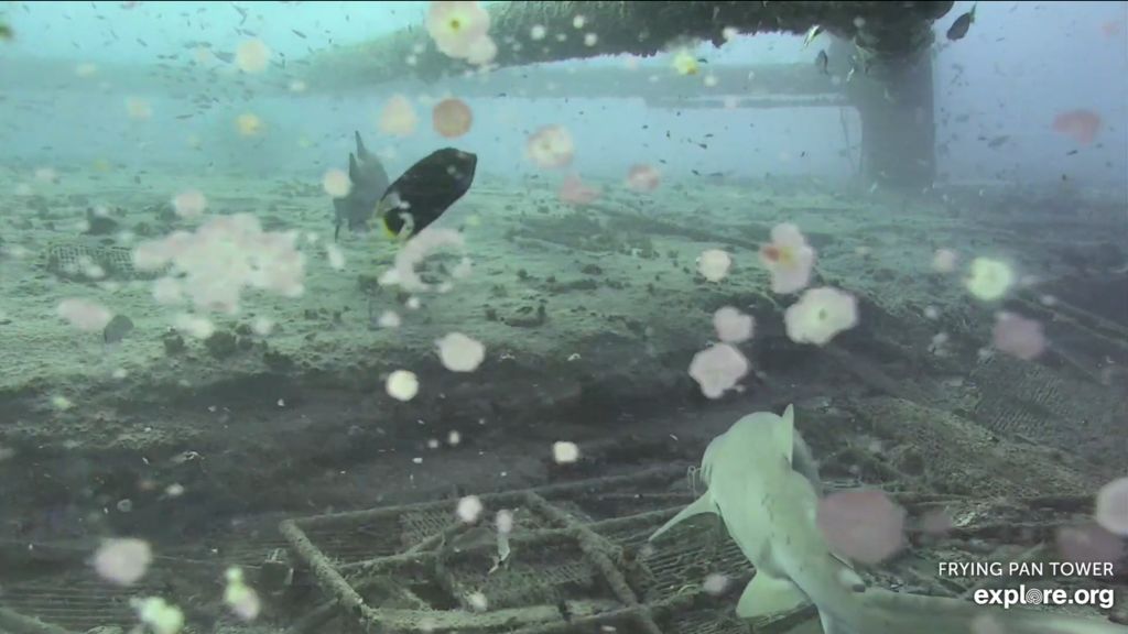 d28f4e45-b172-4031-95c9-8008946335b8