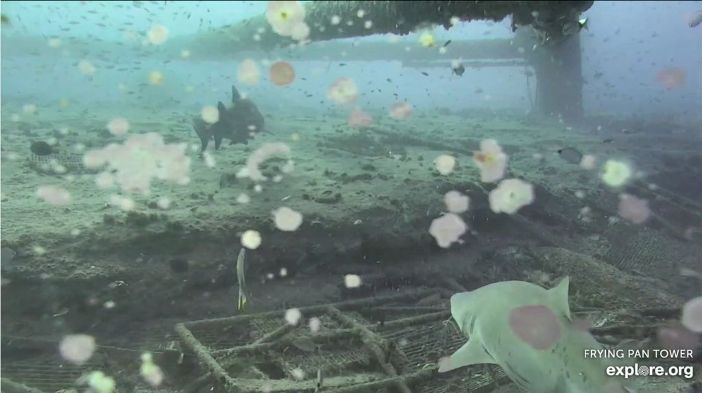 d28f4e45-b172-4031-95c9-8008946335b8