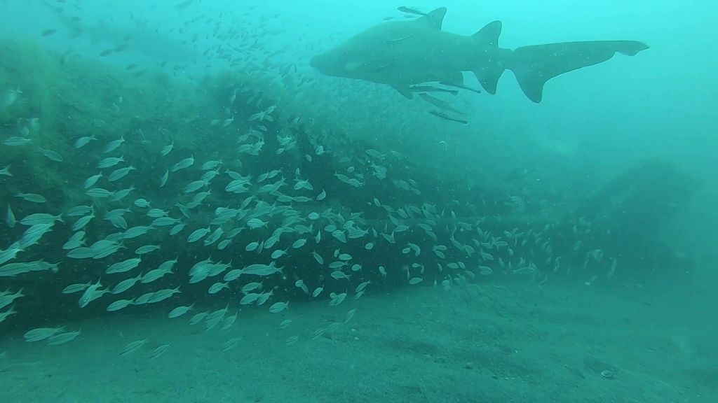 3612ed70-5520-4f31-9891-01ef9fdda4bc