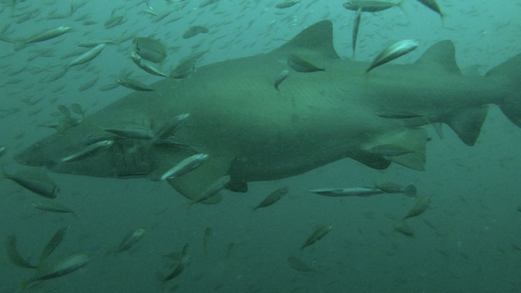 c4d907e4-0209-4bd0-8ade-3d8c29766965