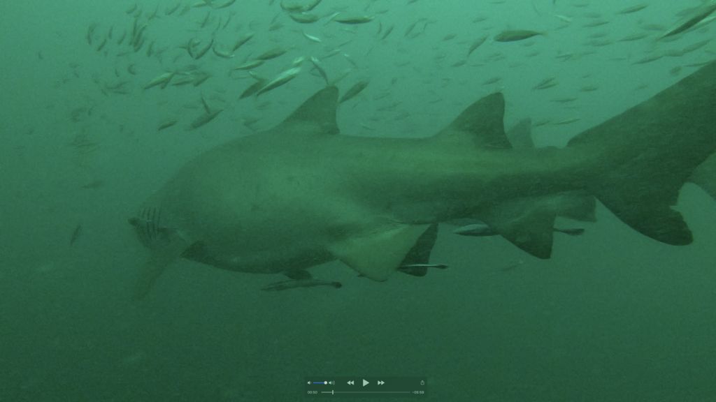 c4d907e4-0209-4bd0-8ade-3d8c29766965