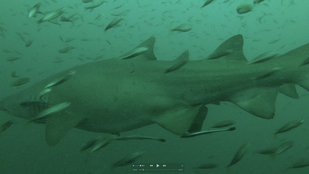 c4d907e4-0209-4bd0-8ade-3d8c29766965