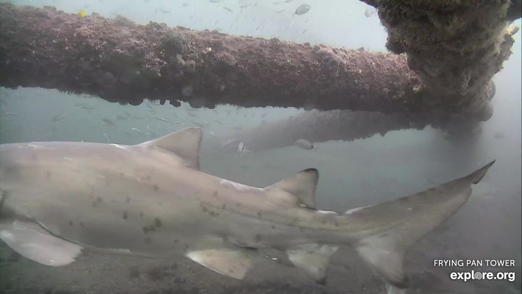 f92d6410-6e06-4453-aa51-aa17c2049323