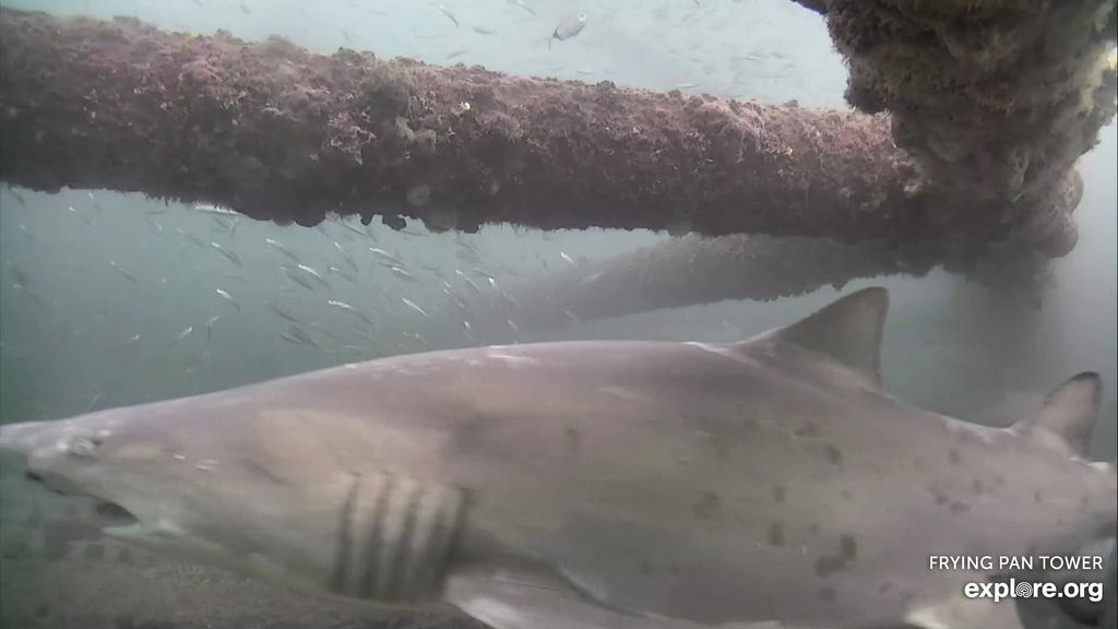 f92d6410-6e06-4453-aa51-aa17c2049323