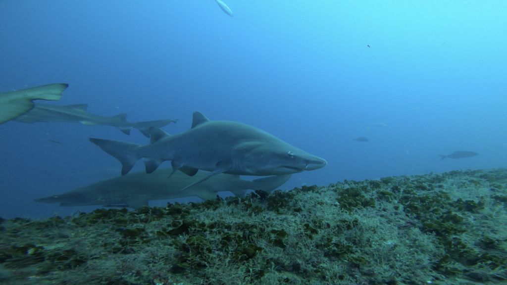 bcbf8714-8b62-4e38-9b25-10d2a7622beb