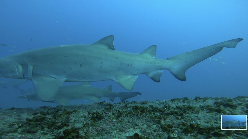 bcbf8714-8b62-4e38-9b25-10d2a7622beb