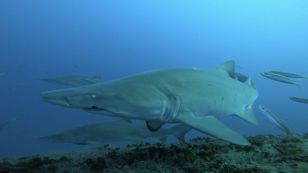 bcbf8714-8b62-4e38-9b25-10d2a7622beb