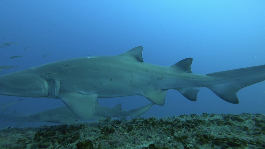 bcbf8714-8b62-4e38-9b25-10d2a7622beb