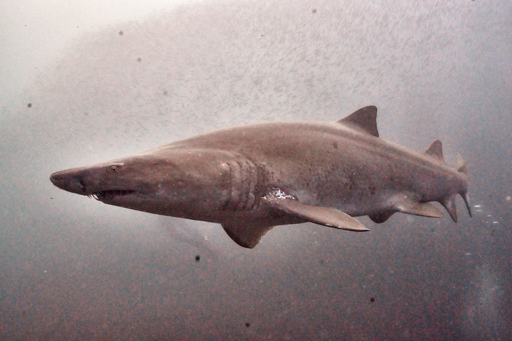 5722c3ca-fe94-45d8-8ab6-07d1e7c403c3