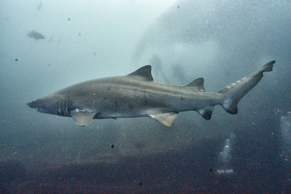 5722c3ca-fe94-45d8-8ab6-07d1e7c403c3