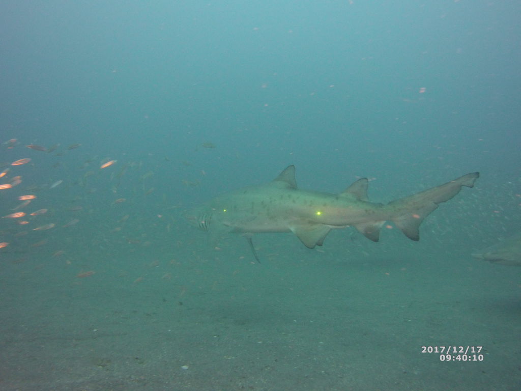 716abe61-0fad-4210-8c90-df0f8341444b