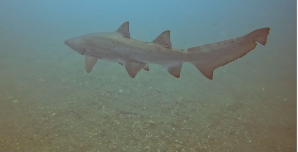 2c5b119a-4492-496b-a31e-2d3218e3e615