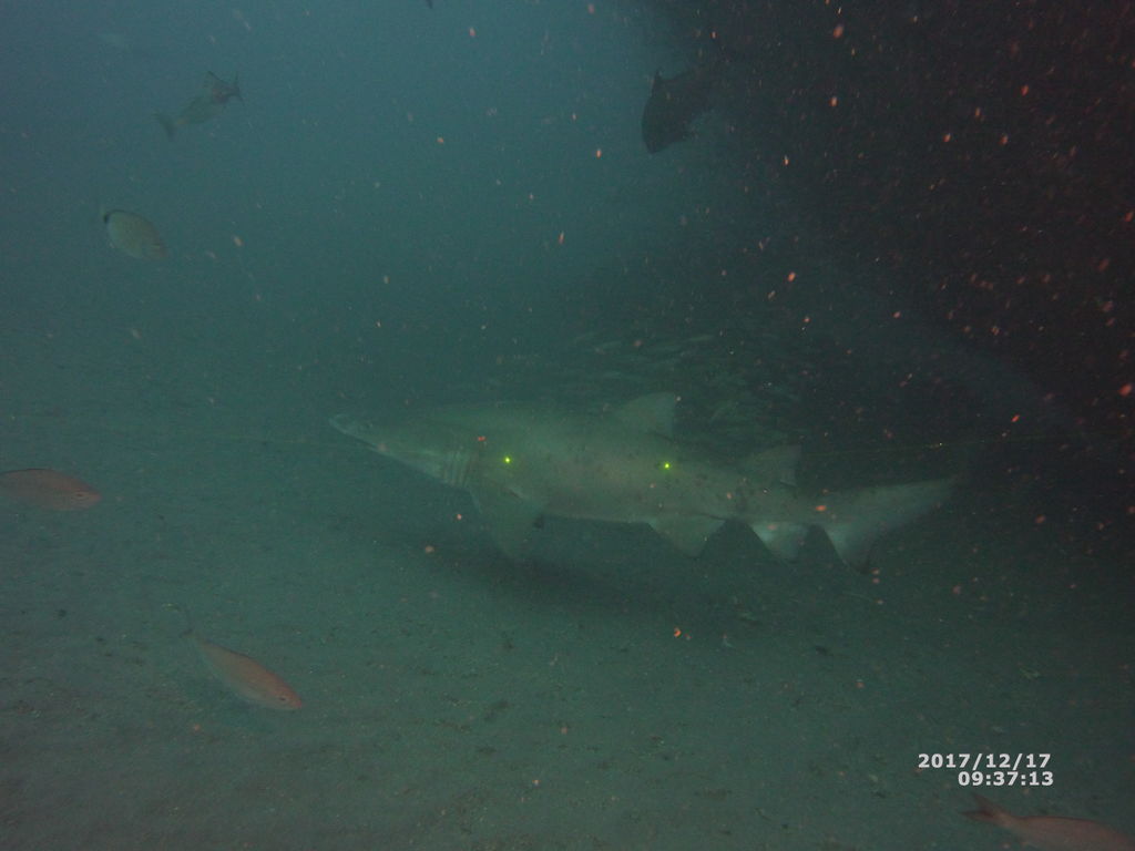 30e278ce-cc0c-4ba9-862e-e3f81bbcf299