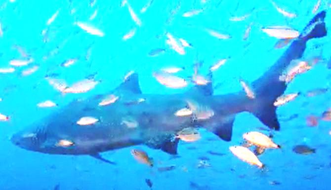 8e3def7a-dd80-4610-a25d-c430a6af7f68