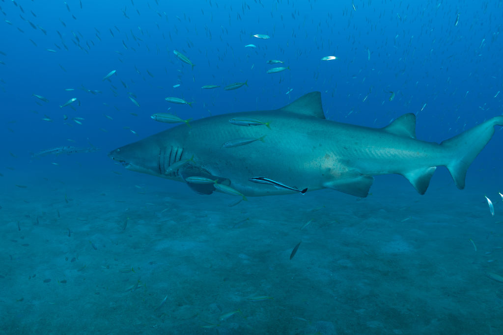 774a6dca-07fc-4b6d-95f2-8c7456a87704