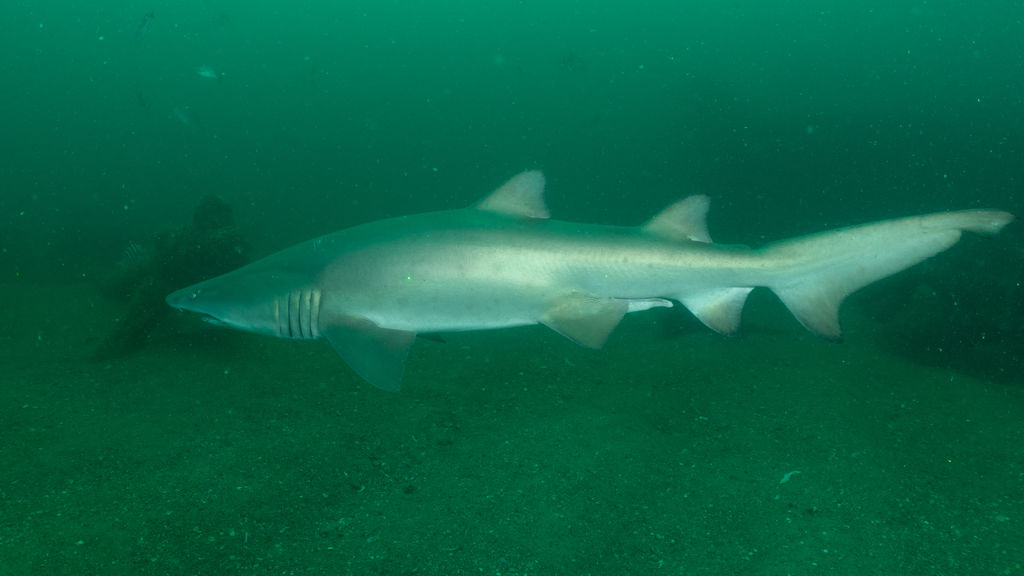 10bd51a4-8e65-41a8-81b8-8708567c724e