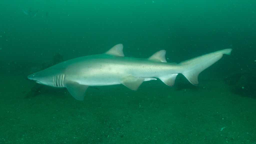 10bd51a4-8e65-41a8-81b8-8708567c724e