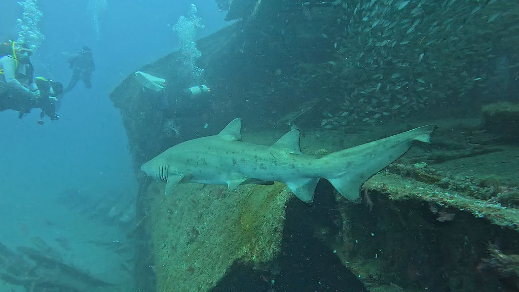 8ea84b81-6bb4-46e5-a8f2-f2e4e1ff2005