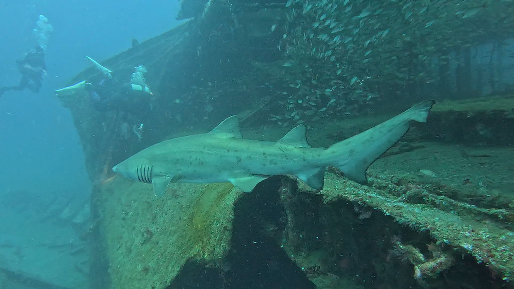 8ea84b81-6bb4-46e5-a8f2-f2e4e1ff2005