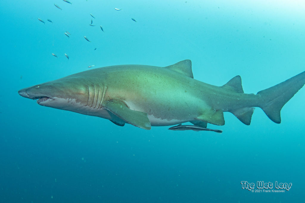 486df443-5954-42a1-82dc-385a00000fb7