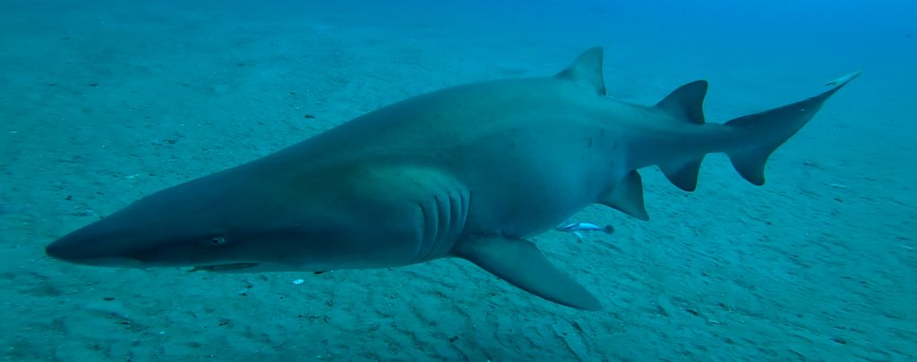 38433f4f-b710-4a30-b8d0-b446bc22e9b5