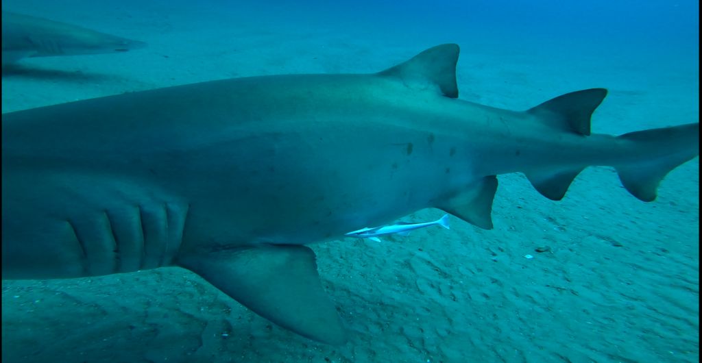 38433f4f-b710-4a30-b8d0-b446bc22e9b5