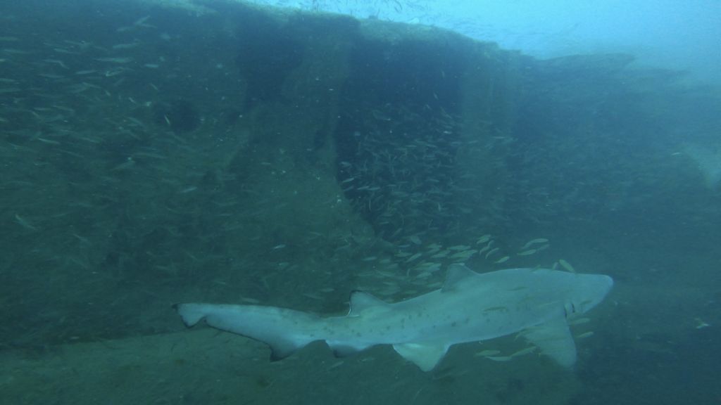 4ff52088-ae32-4dcb-9117-b7b8d9af0272