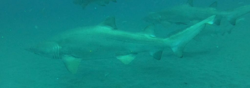 586a9db8-a559-4714-86b6-0e5412c9a701