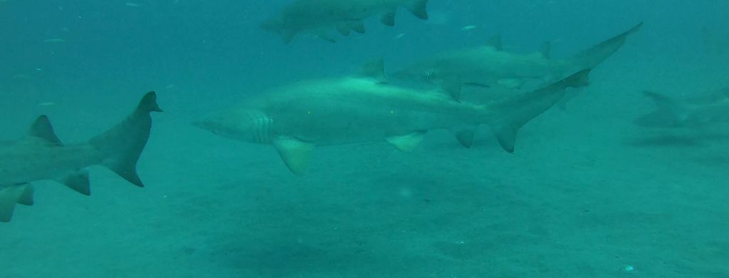 586a9db8-a559-4714-86b6-0e5412c9a701