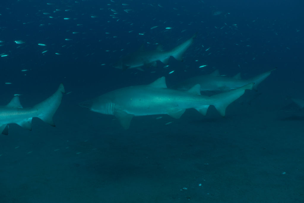 586a9db8-a559-4714-86b6-0e5412c9a701