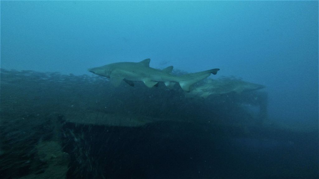 6371a989-4dd4-4fed-afef-5b8d28c0f0e0