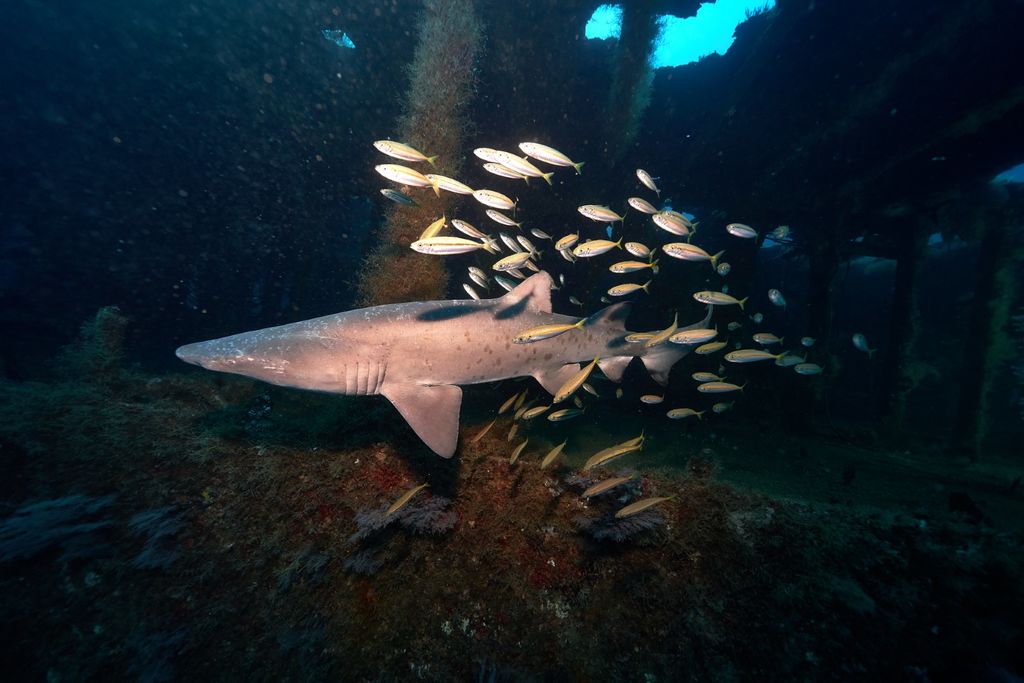 a299b113-0245-4ef9-9360-2bba7d01ca66