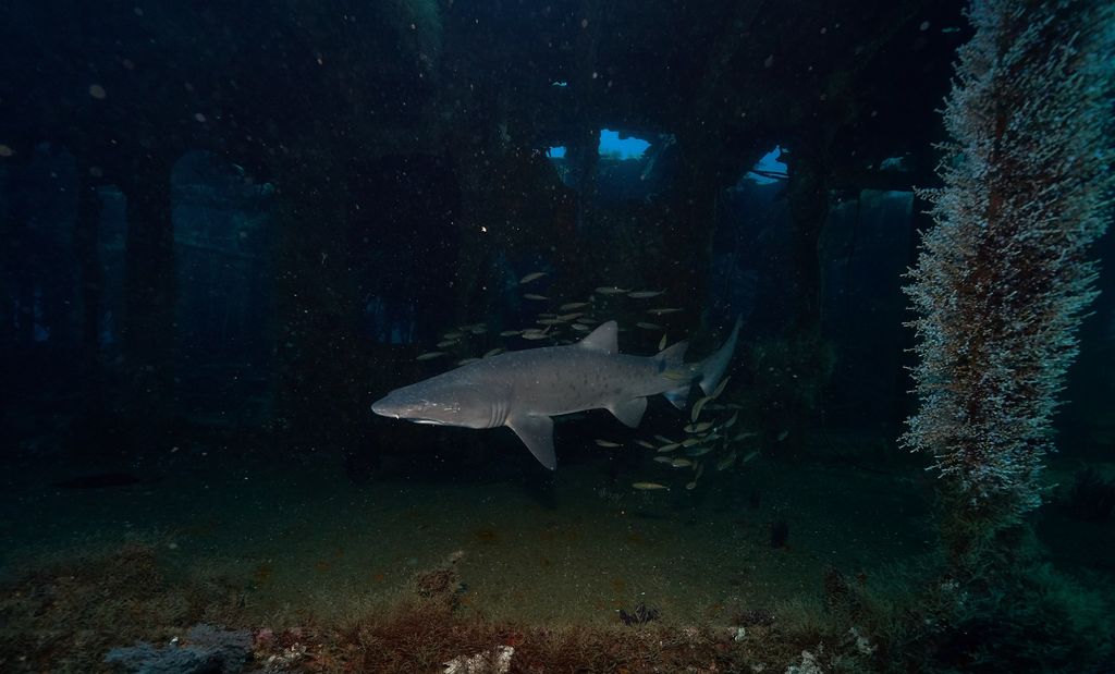 a299b113-0245-4ef9-9360-2bba7d01ca66