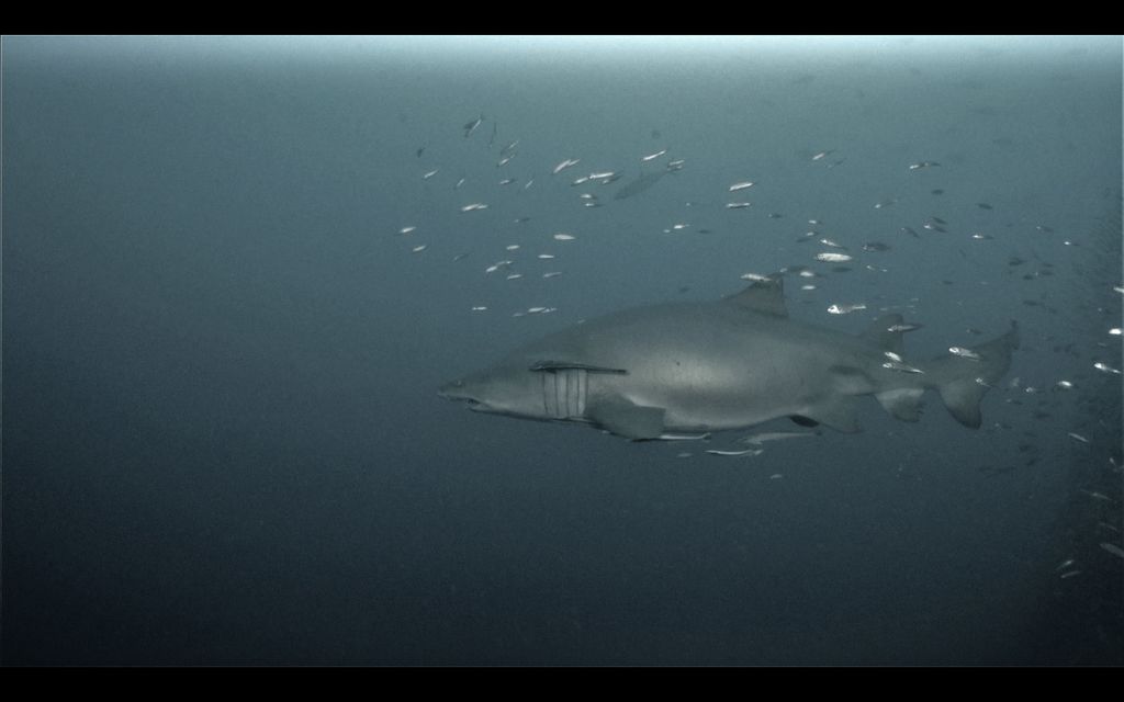 18b61610-c159-4e9e-8c61-71889b8f7f89