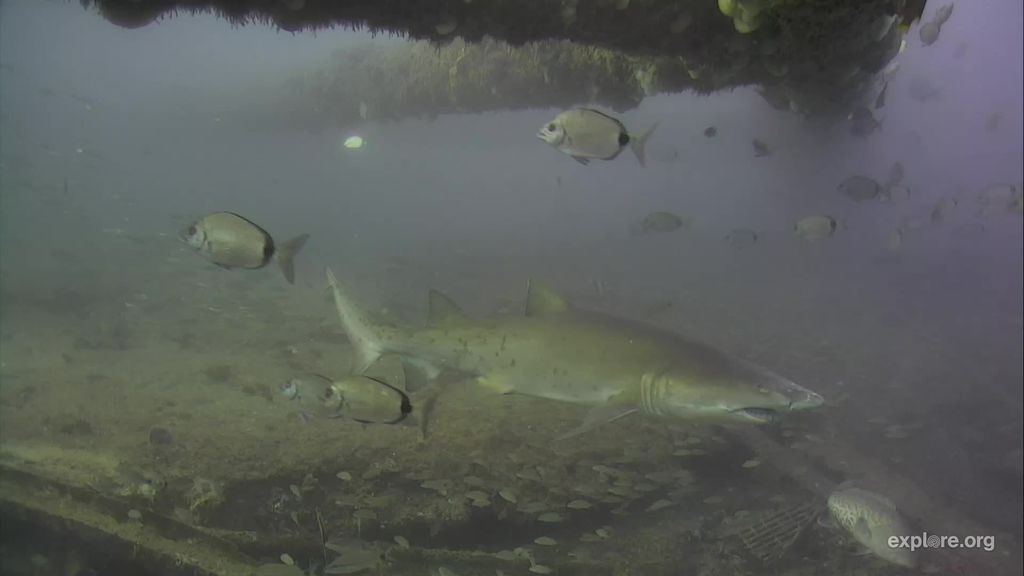 dcc14416-5d80-4309-a674-16b2a756c679