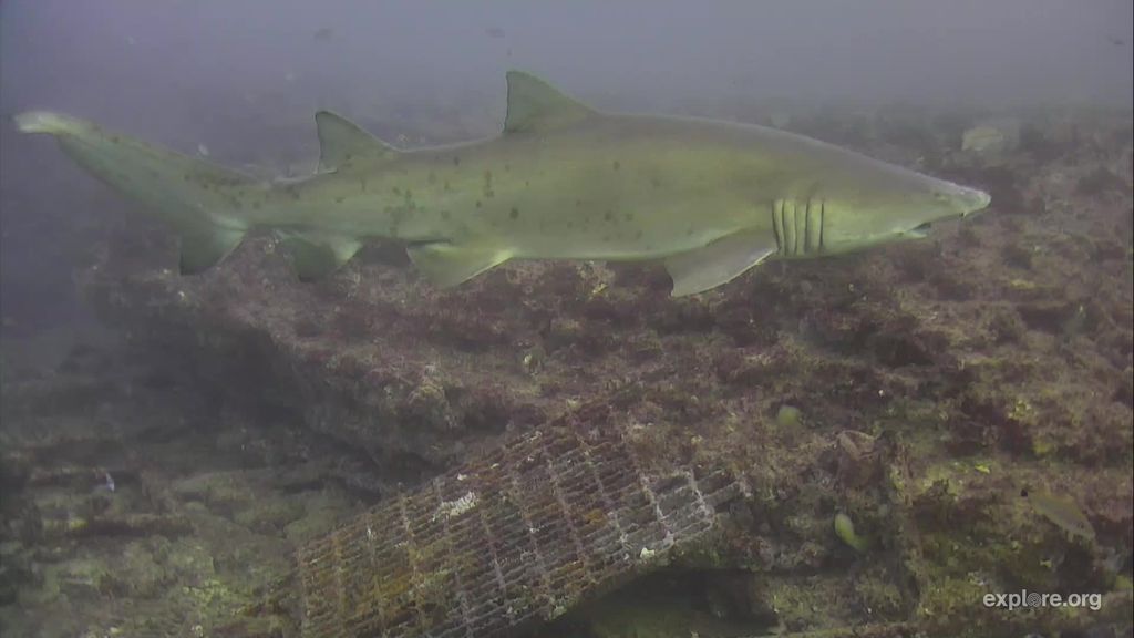 dcc14416-5d80-4309-a674-16b2a756c679