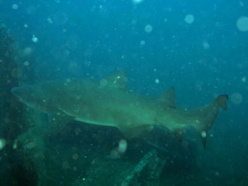 d2134f1d-ef86-4177-98cc-91ab24422a47