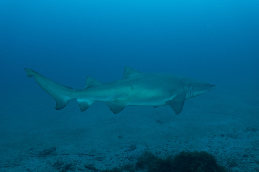 be13c20f-81a9-4686-97af-799ba02e203c