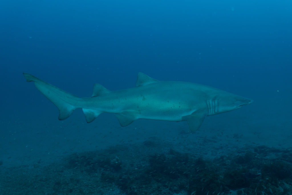 be13c20f-81a9-4686-97af-799ba02e203c