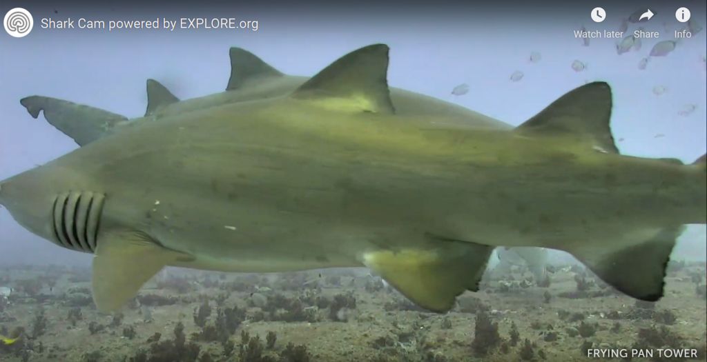 fa7d778c-eb3b-4988-9d8b-12ff25d5bdec