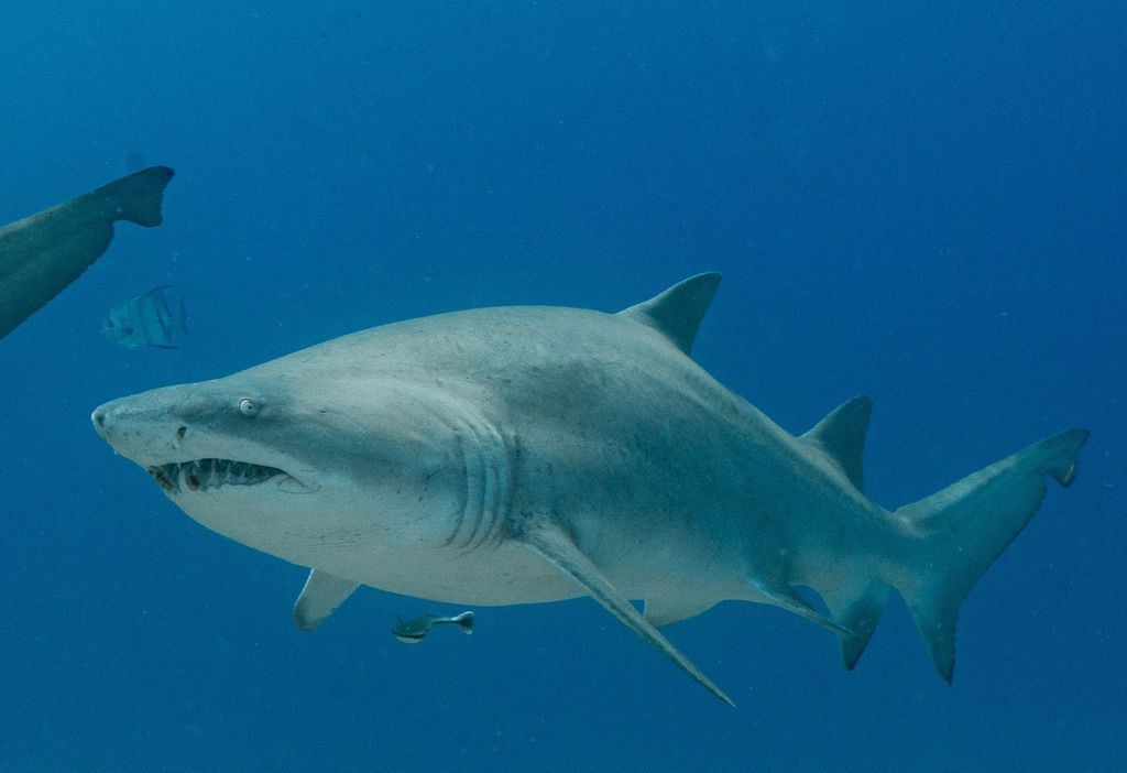 f2660a01-1cbc-4296-9cd6-77bbf6f3ce48