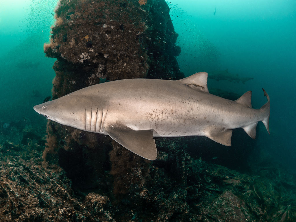 a99734be-278a-4cc0-bc49-3b67ccee7b92