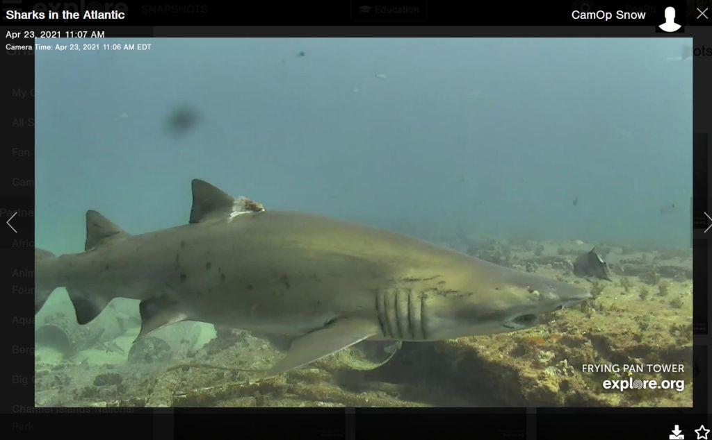 1e71c9ea-3664-4d4d-b077-477c4ef074aa