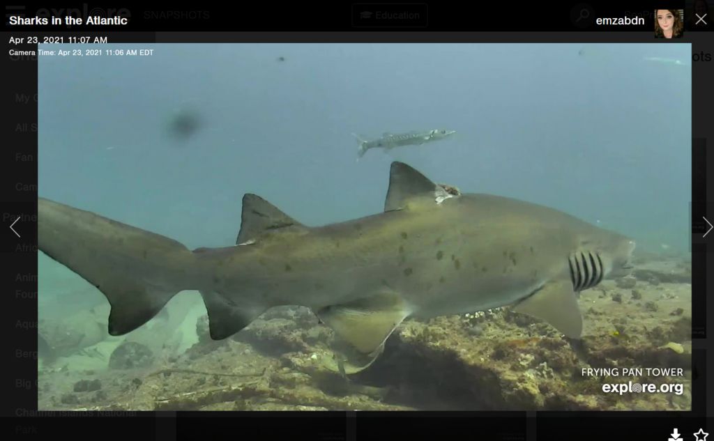 1e71c9ea-3664-4d4d-b077-477c4ef074aa