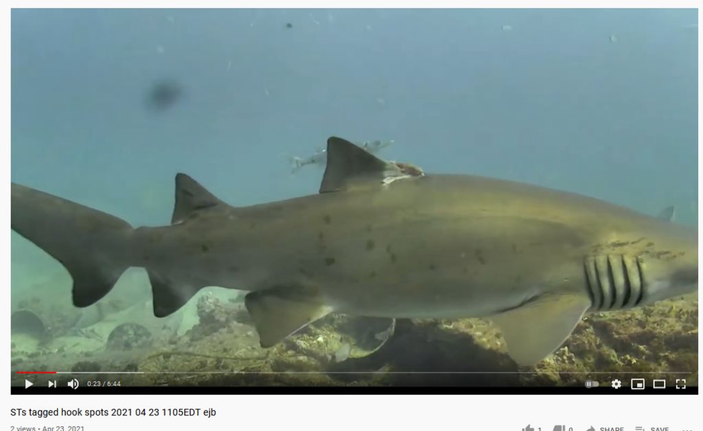 1e71c9ea-3664-4d4d-b077-477c4ef074aa