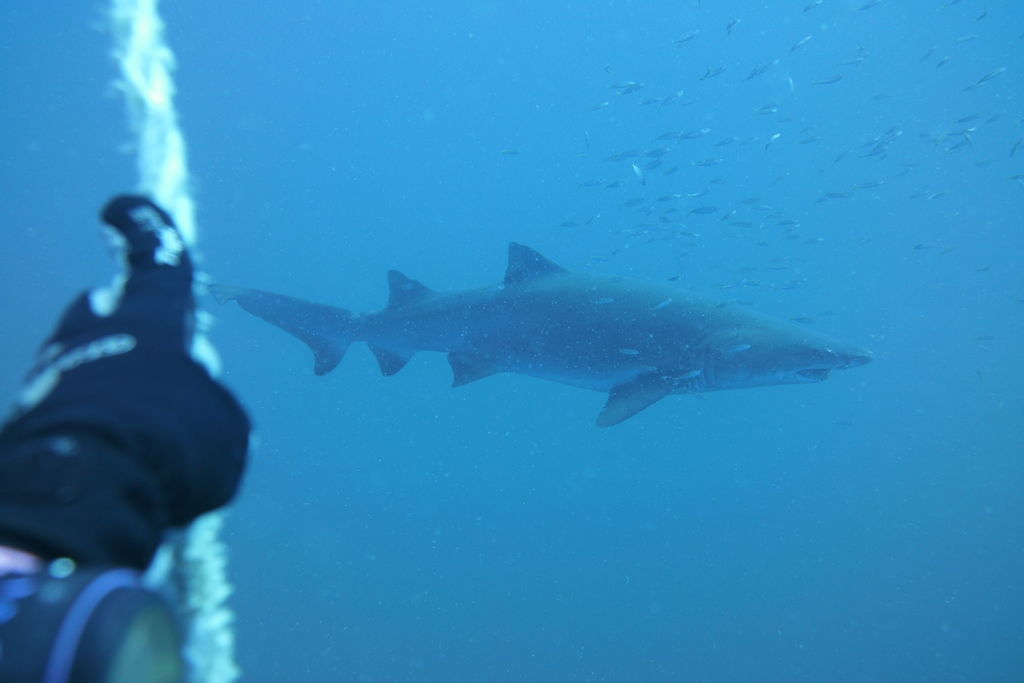 87a15e63-264f-4fed-b53c-bdbcedd6c860