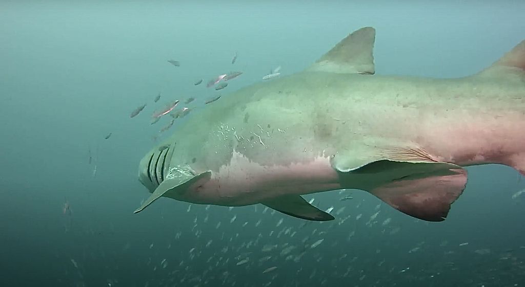 c6abc3f5-ad32-4ac9-aa4f-45b08649fffc