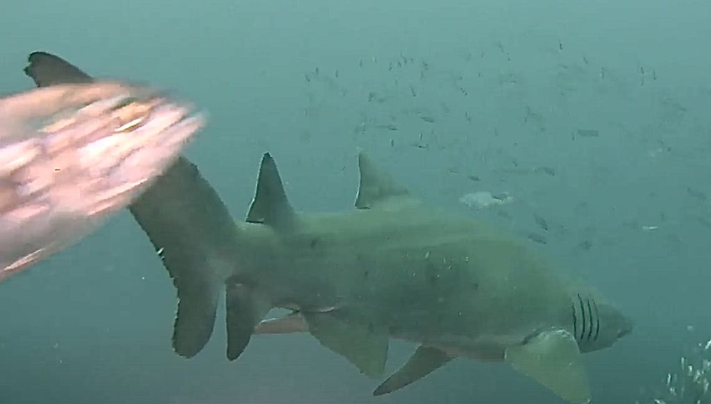 c6abc3f5-ad32-4ac9-aa4f-45b08649fffc